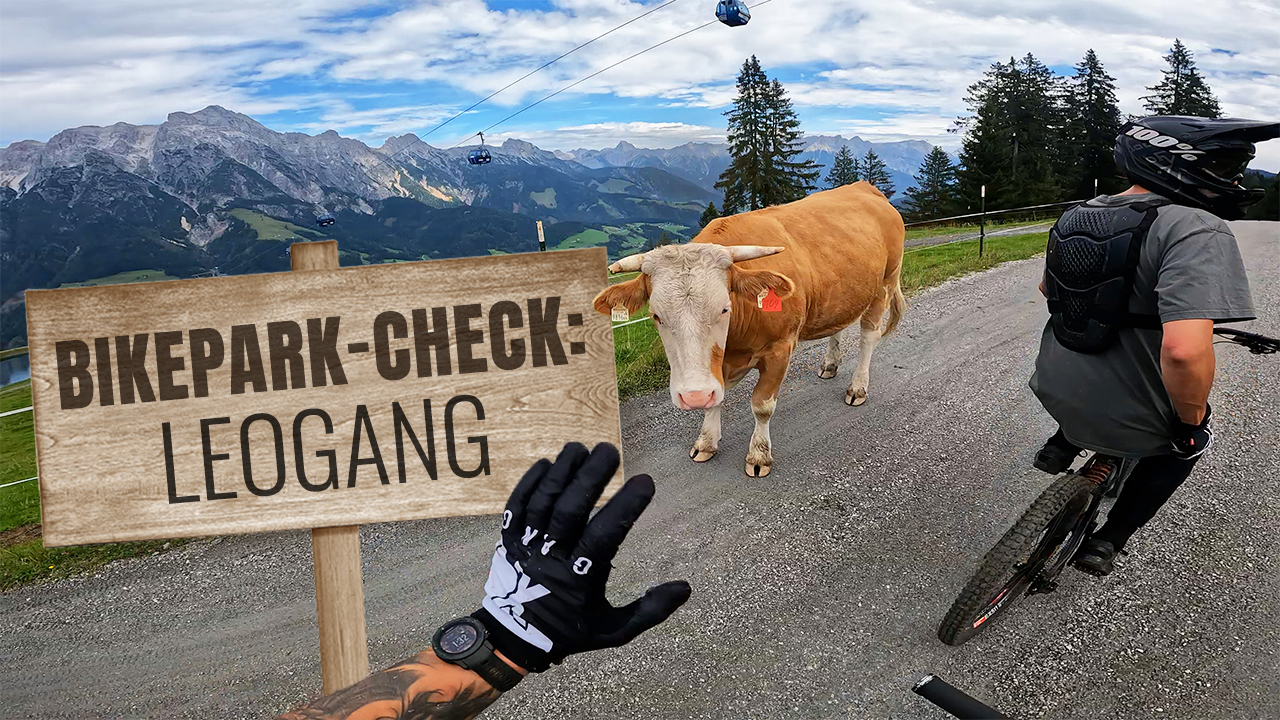 Bikepark-Check Leogang Bikepark-Check Leogang