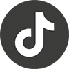 TikTok Logo