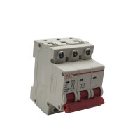 Sicherungsautomat 16A 3-fach für P4000G