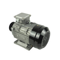 Motor 400V/50HZ 3KW zu WZ-KP10-200H