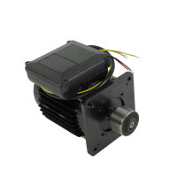 Motor für STW-75