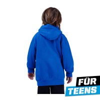 FOX Absolute Fleece Pullover Teens blau