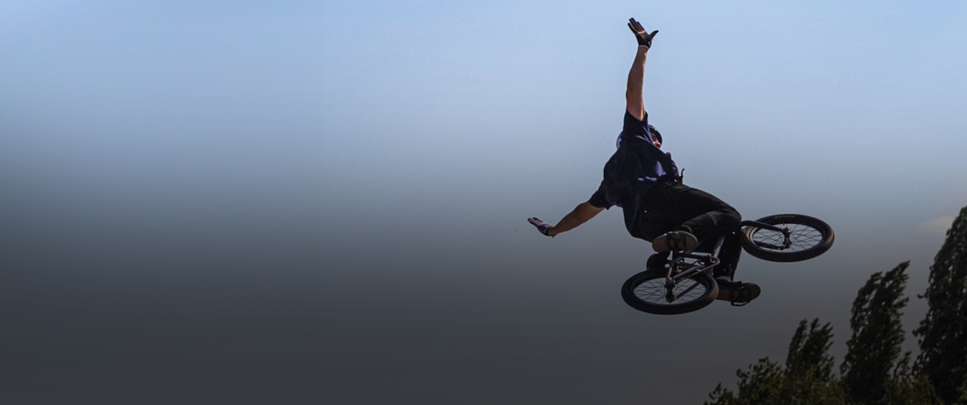 Michael Meisel Banner